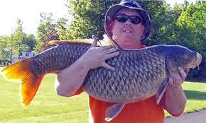 detoate - images-30.jpg